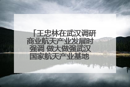 王忠林在武汉调研商业航天产业发展时强调 做大做强武汉国家航天产业基地 打造具有全国影响力的“中国星谷”