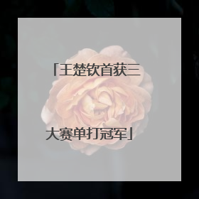王楚钦首获三大赛单打冠军