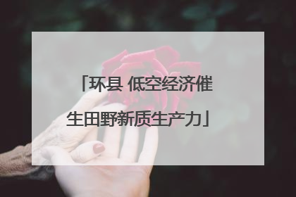 环县 低空经济催生田野新质生产力