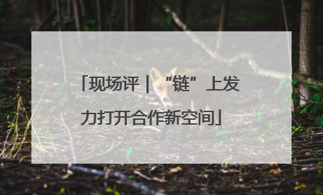 现场评｜“链”上发力打开合作新空间