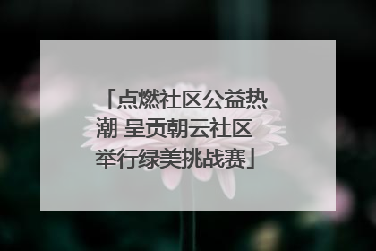 点燃社区公益热潮 呈贡朝云社区举行绿美挑战赛