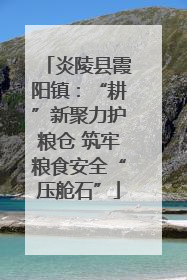 炎陵县霞阳镇：“耕”新聚力护粮仓 筑牢粮食安全“压舱石”