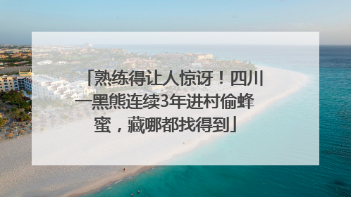 熟练得让人惊讶！四川一黑熊连续3年进村偷蜂蜜，藏哪都找得到
