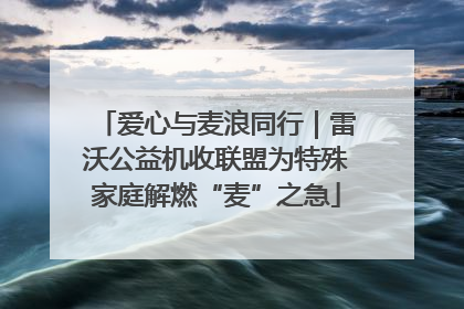 爱心与麦浪同行｜雷沃公益机收联盟为特殊家庭解燃“麦”之急