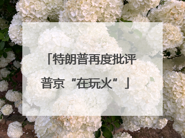 特朗普再度批评普京“在玩火”