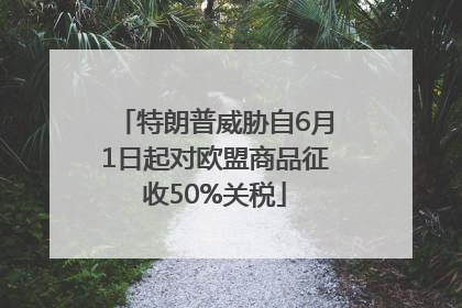 特朗普威胁自6月1日起对欧盟商品征收50%关税