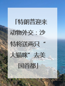 特朗普迎来动物外交：沙特将送两只“大猫咪”去美国首都