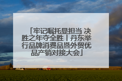 牢记嘱托显担当 决胜之年夺全胜丨丹东举行品牌消费品暨外贸优品产销对接大会