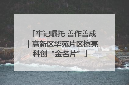 牢记嘱托 善作善成｜高新区华苑片区擦亮科创“金名片”