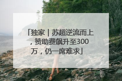 独家｜苏超逆流而上，赞助费飙升至300万，仍一席难求