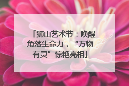 狮山艺术节：唤醒角落生命力，“万物有灵”惊艳亮相