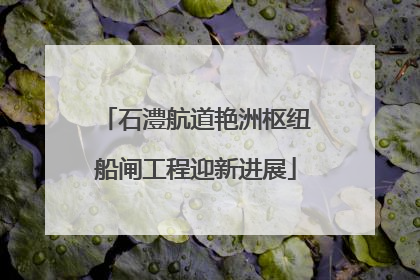石澧航道艳洲枢纽船闸工程迎新进展