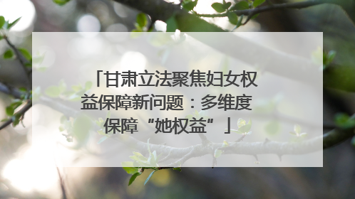 甘肃立法聚焦妇女权益保障新问题：多维度保障“她权益”