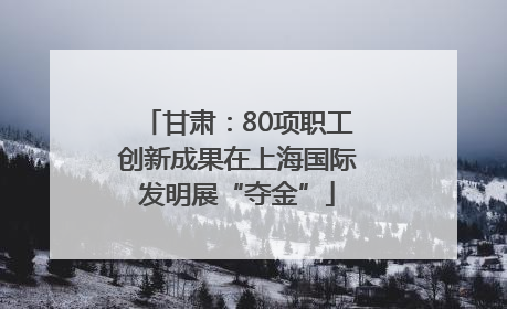 甘肃：80项职工创新成果在上海国际发明展“夺金”