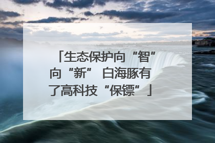 生态保护向“智”向“新” 白海豚有了高科技“保镖”