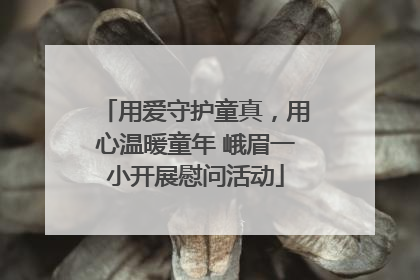 用爱守护童真，用心温暖童年 峨眉一小开展慰问活动