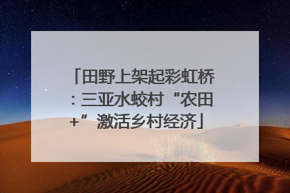 田野上架起彩虹桥：三亚水蛟村“农田+”激活乡村经济