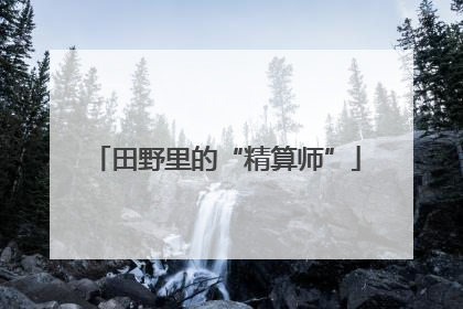 田野里的“精算师”