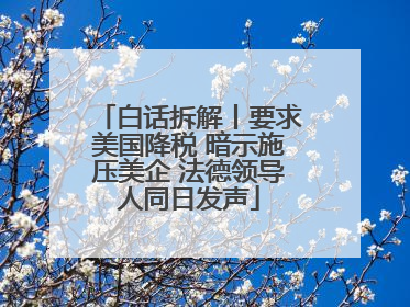 白话拆解丨要求美国降税 暗示施压美企 法德领导人同日发声