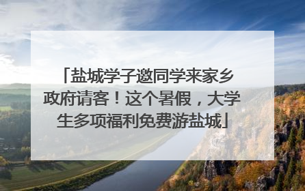 盐城学子邀同学来家乡 政府请客！这个暑假，大学生多项福利免费游盐城