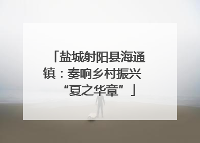 盐城射阳县海通镇：奏响乡村振兴“夏之华章”
