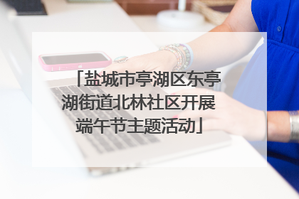 盐城市亭湖区东亭湖街道北林社区开展端午节主题活动