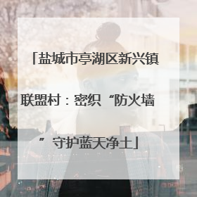 盐城市亭湖区新兴镇联盟村：密织“防火墙”守护蓝天净土