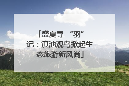 盛夏寻 “羽” 记：滇池观鸟掀起生态旅游新风尚