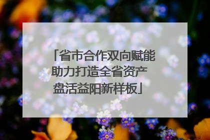 省市合作双向赋能 助力打造全省资产盘活益阳新样板