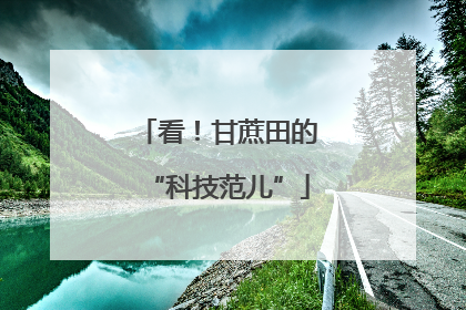 看！甘蔗田的“科技范儿”