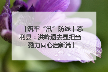 筑牢“汛”防线｜慈利县：洪峰退去显担当 勠力同心启新篇