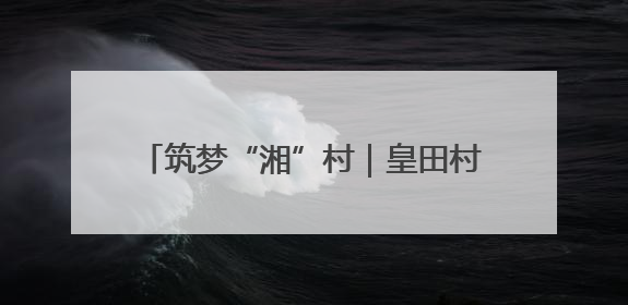 筑梦“湘”村｜皇田村：返乡青年开办榨油坊 为村集体经济“加油”