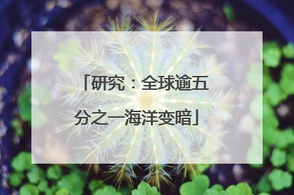 研究：全球逾五分之一海洋变暗