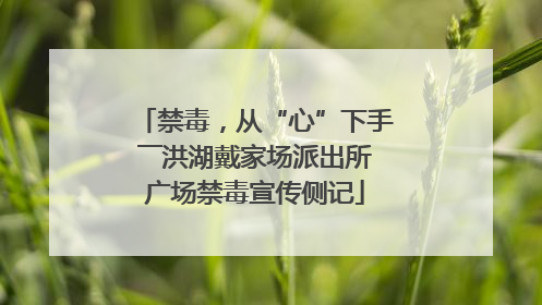 禁毒，从“心”下手――洪湖戴家场派出所广场禁毒宣传侧记