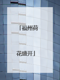 福州荷花盛开