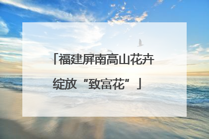 福建屏南高山花卉绽放“致富花”