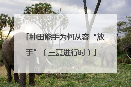 种田能手为何从容“放手”（三夏进行时）