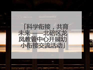 科学衔接，共育未来——北碚区龙凤教管中心开展幼小衔接交流活动