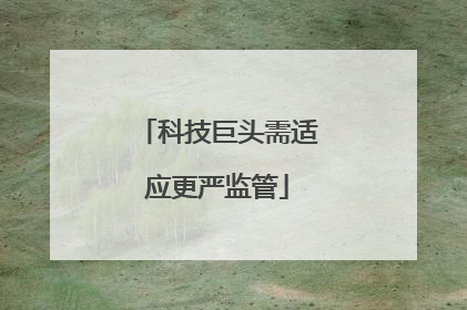 科技巨头需适应更严监管
