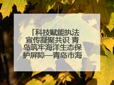 科技赋能执法 宣传凝聚共识 青岛筑牢海洋生态保护屏障—青岛市海洋发展局开展“世界海洋日”和“全国海洋宣传日”宣传活动