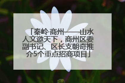 秦岭·商州——山水人文邀天下，商州区委副书记、区长支朝奇推介5个重点招商项目