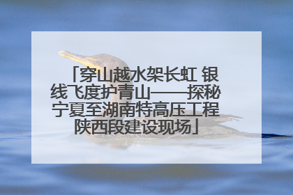 穿山越水架长虹 银线飞度护青山——探秘宁夏至湖南特高压工程陕西段建设现场