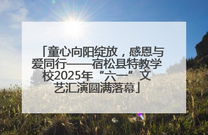 童心向阳绽放，感恩与爱同行——宿松县特教学校2025年“六一”文艺汇演圆满落幕