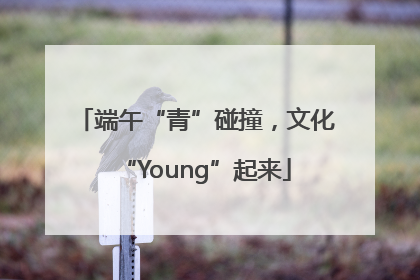 端午“青”碰撞，文化“Young”起来