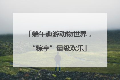 端午趣游动物世界，“粽享”量级欢乐