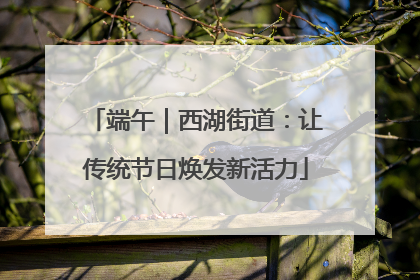 端午｜西湖街道：让传统节日焕发新活力