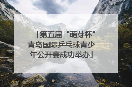 第五届“萌芽杯”青岛国际乒乓球青少年公开赛成功举办