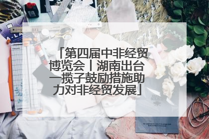 第四届中非经贸博览会丨湖南出台一揽子鼓励措施助力对非经贸发展