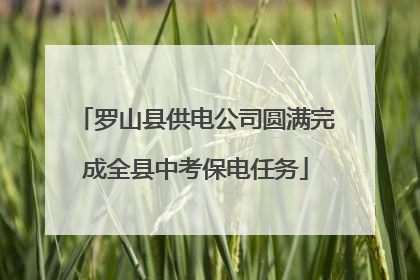 罗山县供电公司圆满完成全县中考保电任务