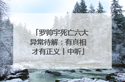 罗帅宇死亡六大异常待解：有真相才有正义丨中听